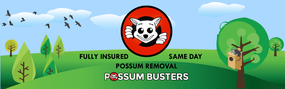 Read more about the article Possum Busters