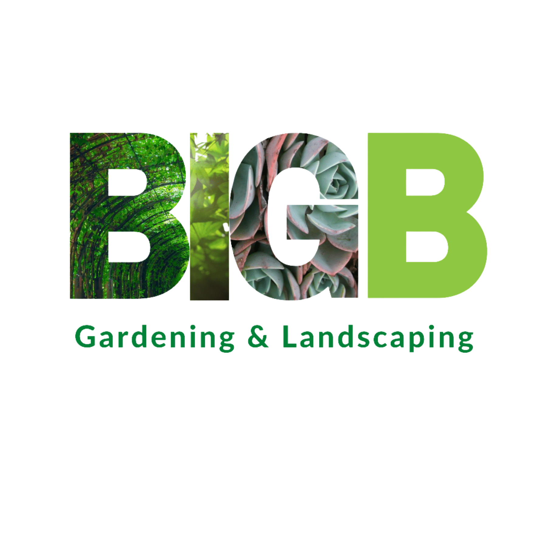 You are currently viewing BIG B Gardening